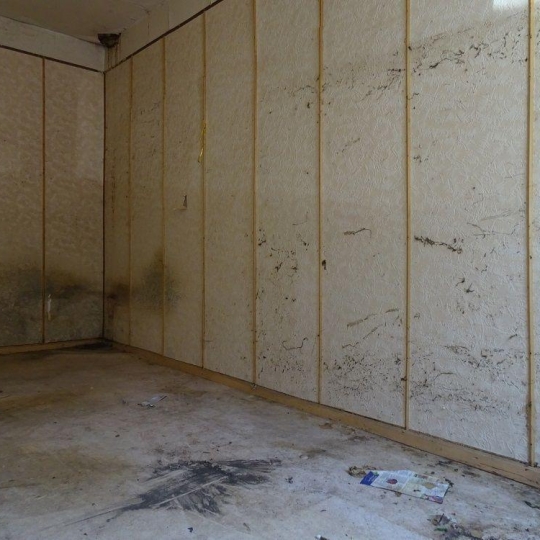  PLANET'IMMO : Programme Neuf | LE PONT-DE-BEAUVOISIN (73330) | 60 m2 | 47 000 € 