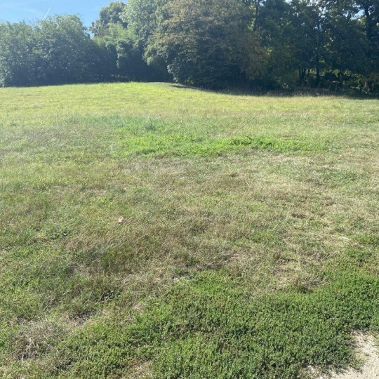  PLANET'IMMO : Terrain | ROMAGNIEU (38480) | 0 m2 | 86 000 € 