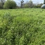  PLANET'IMMO : Terrain | BELMONT-TRAMONET (73330) | 0 m2 | 75 000 € 