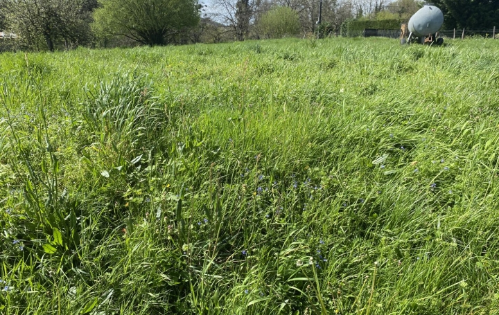  PLANET'IMMO Terrain | BELMONT-TRAMONET (73330) | 0 m2 | 75 000 € 